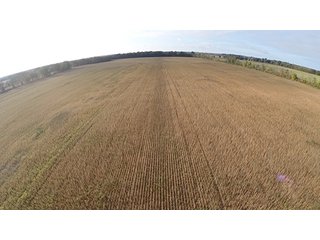 Property photo 16 - Southern Michigan Land Auction - 2 Auctions in 1 - 229+/- Acres and 66+/- Acres